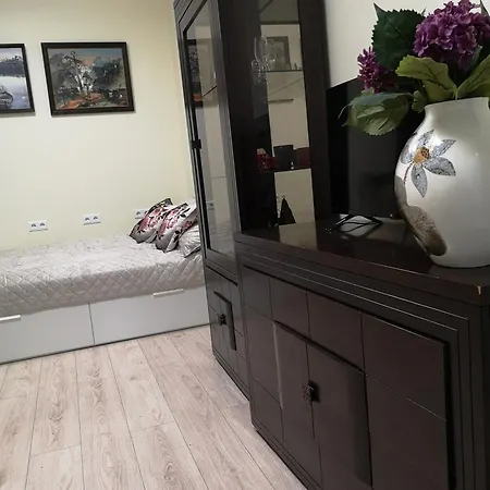 Ozo Park Apartment