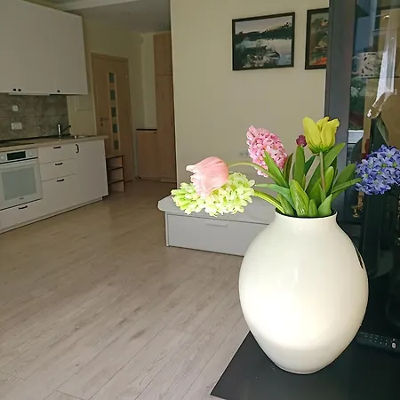 Ozo Park Вильнюс