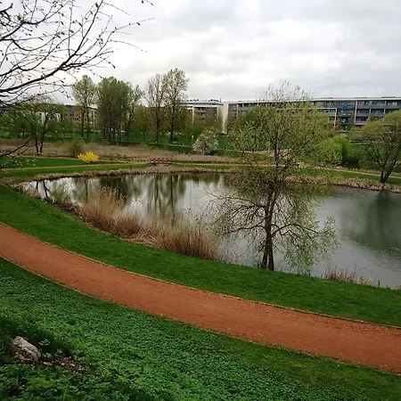 Ozo Park *