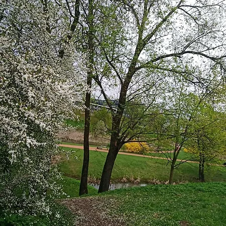 Ozo Park